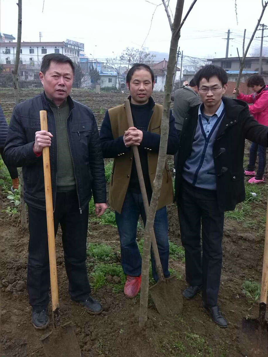 无锡市家协组织会员单位参加植树活动 无锡市家协组织会员单位参加植树活动