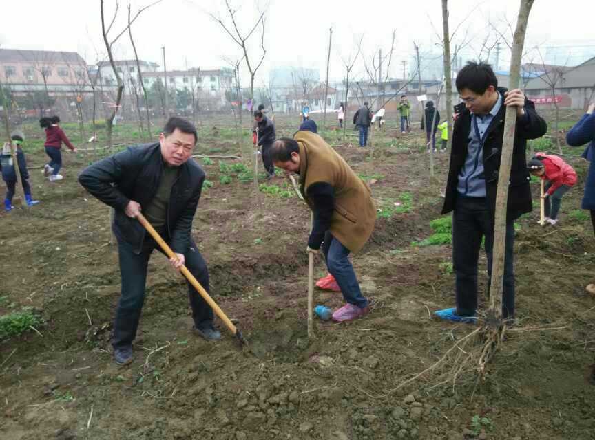 无锡市家协组织会员单位参加植树活动 无锡市家协组织会员单位参加植树活动